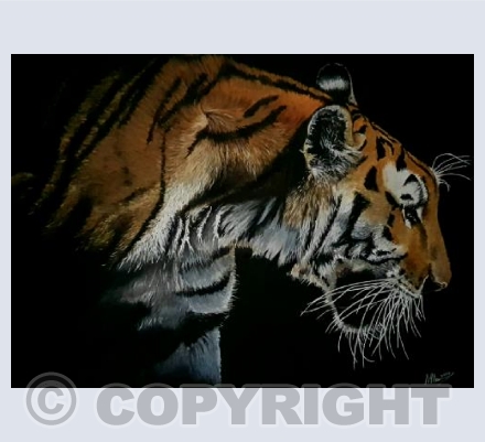 Tyger Tyger