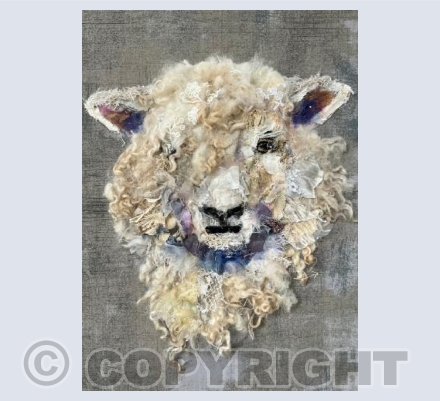 Cotswold Sheep #37