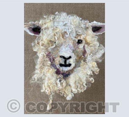 Cotswold Sheep #38