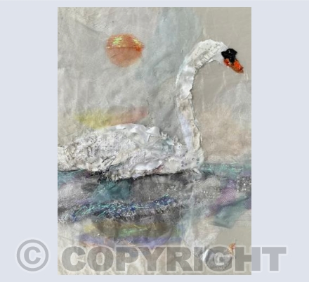 Swan