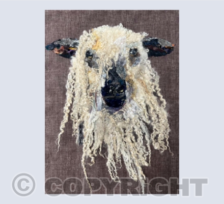 Wensleydale Sheep