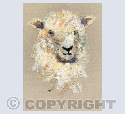 Cotswold Sheep #14