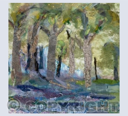 Bluebells 3 