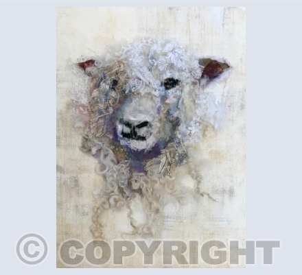 Cotswold Sheep #28