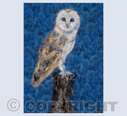 Barn Owl II