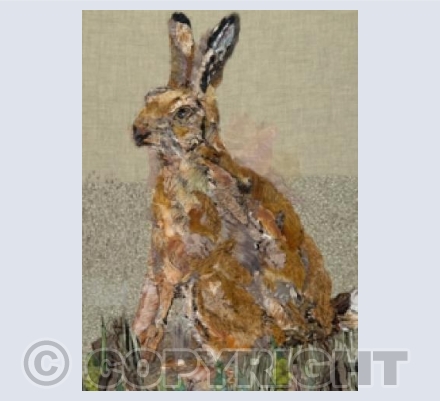 Hare