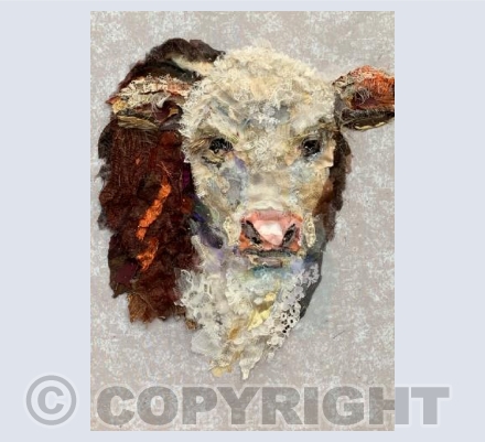 Hereford Calf