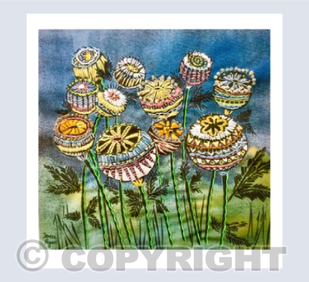 Poppy Heads