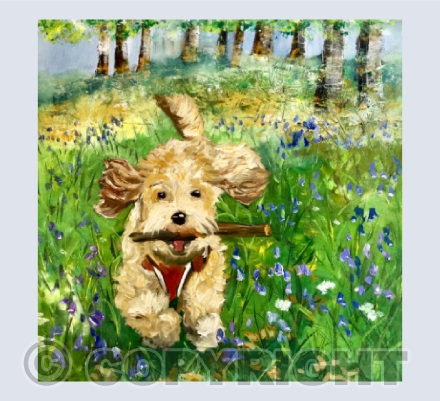 Peanut in the Woods