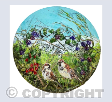 Sparrows and Blackberries