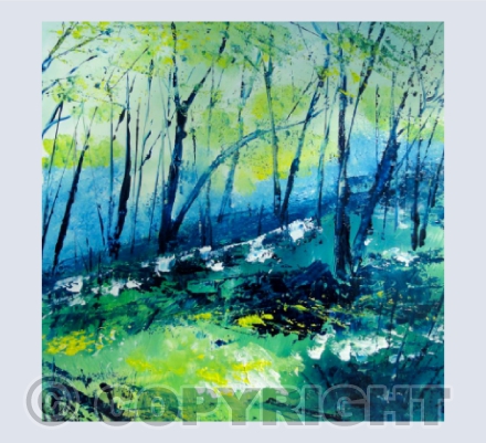 Sunlight in the Glade