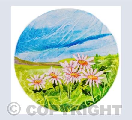 Daisies in a circle