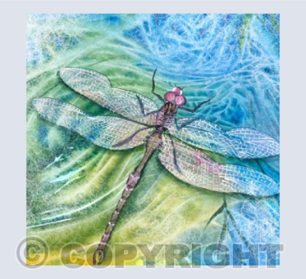 Dragonfly