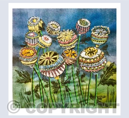 Poppy Heads