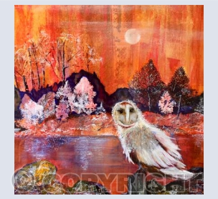 The Midnight Owl