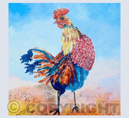 Cockerel
