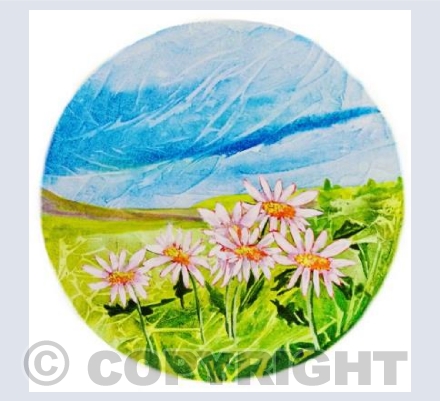 Daisies
