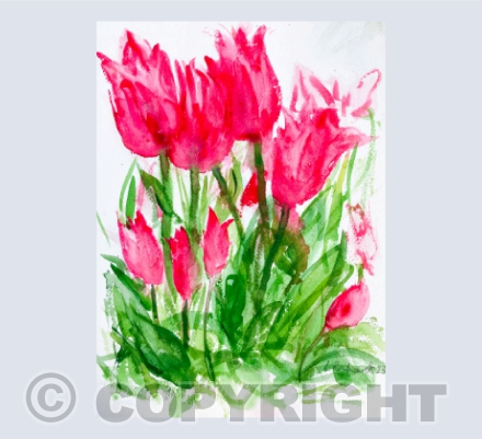 Red Tulips