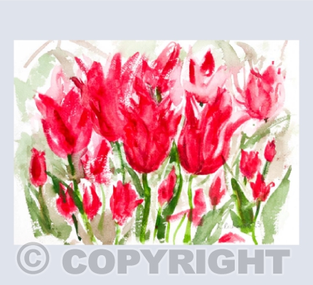 Red Tulip Border