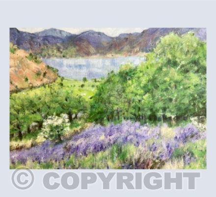 Bluebells above Crummock Water