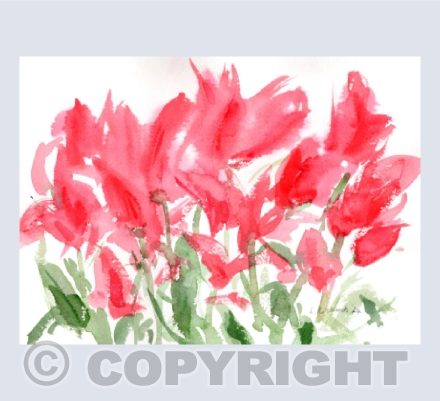 Patch of Red Tulips