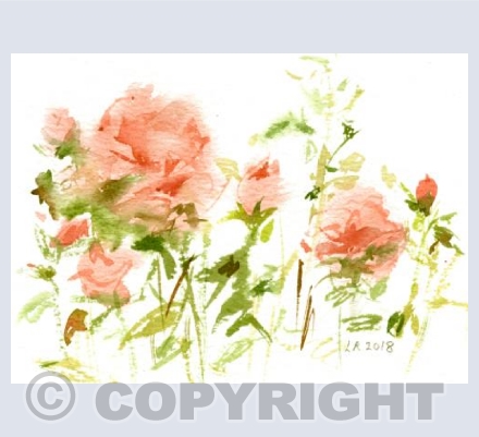Rose Beds