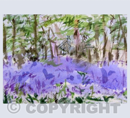 Bluebells, Staffhurst Wood 