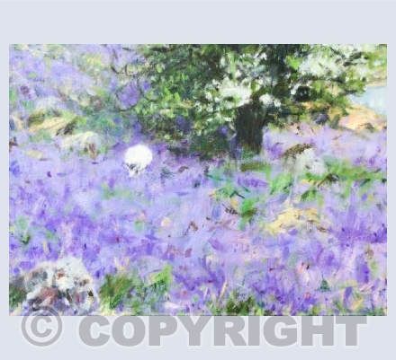 Sheep among Bluebells (Rannerdale)