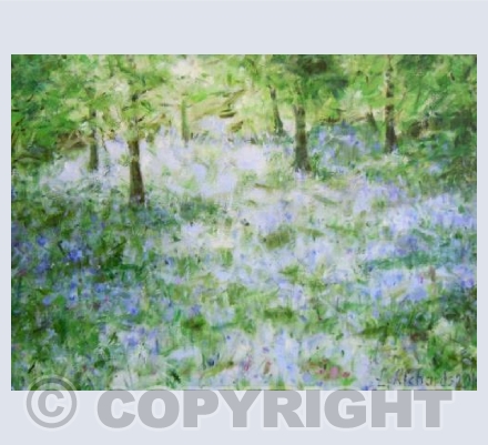 Bluebell Wood
