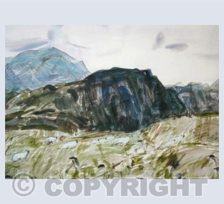 Sheep on Brandreth