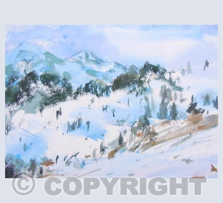 View from Belchen in Winter