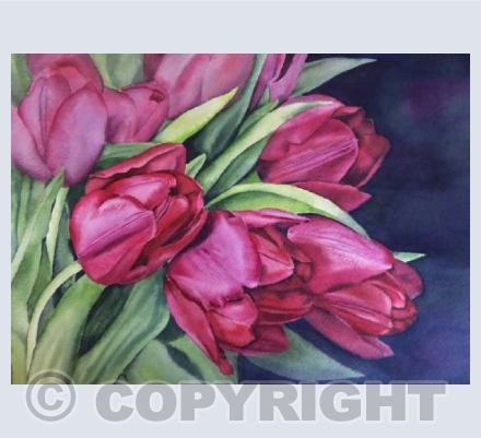Karen's Tulips