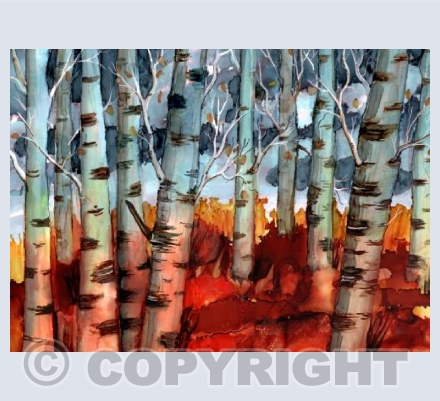 Glowing Birches