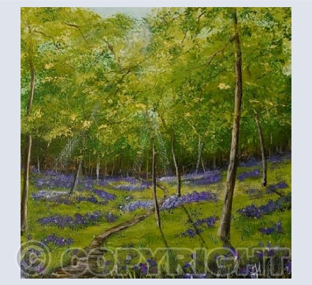 Glimmers in the Glade