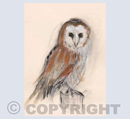 Barn Owl Card