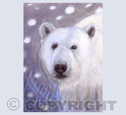 Polar Bear card