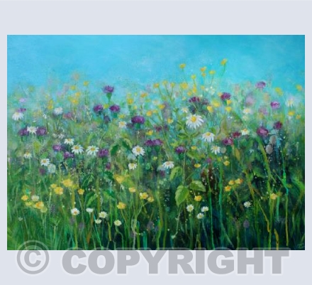 Summer meadow