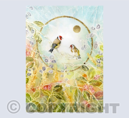 Such a beautiful morning