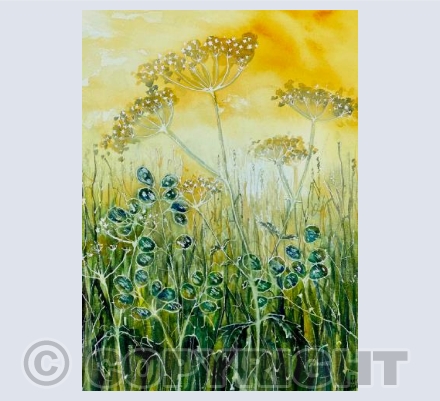 Sunshine meadow