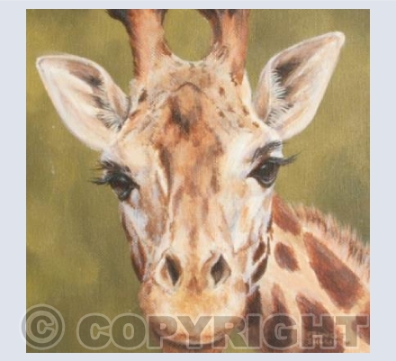 Looking Giraffe card
