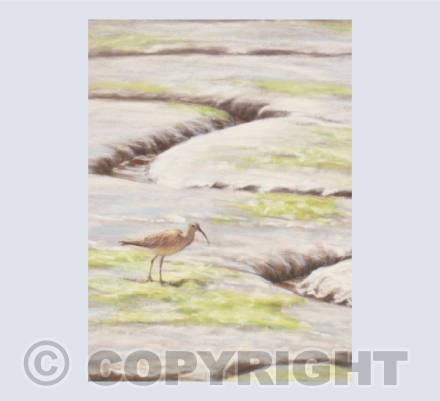 Between the Tides Greetings Card