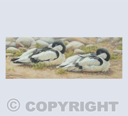 Keeping a Weather Eye