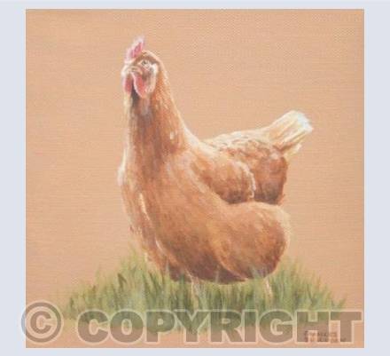 Barnyard Hen