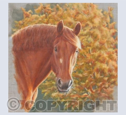 Autumnal Suffolk Horse