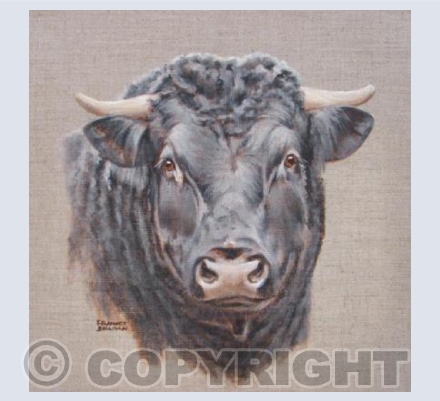 Impressive Chap - Black Bull