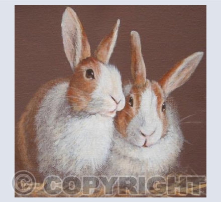 Dutch Rabbit Friends