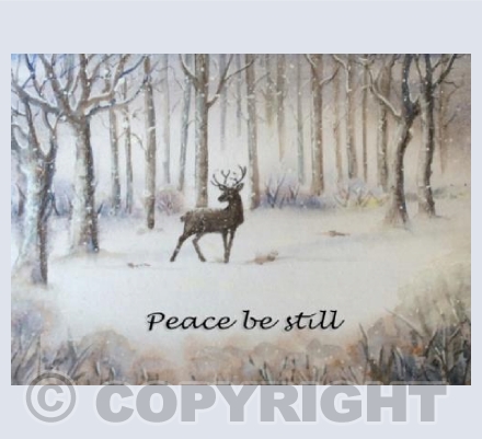 Deer