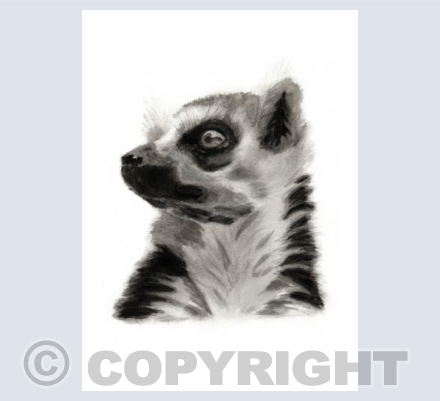 Lemur