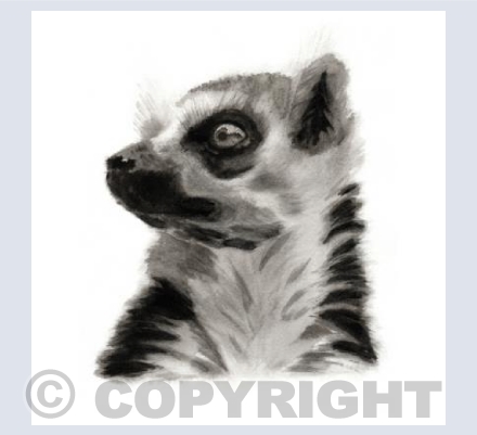 Lemur