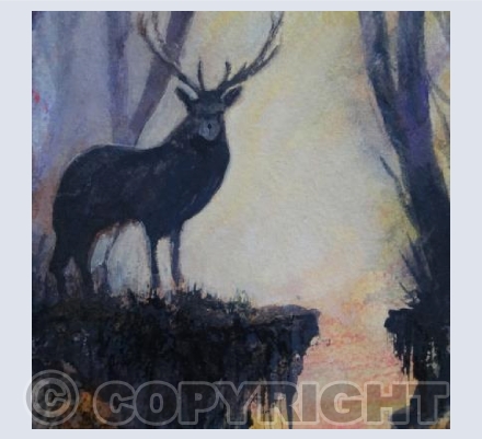 The Stag against the light